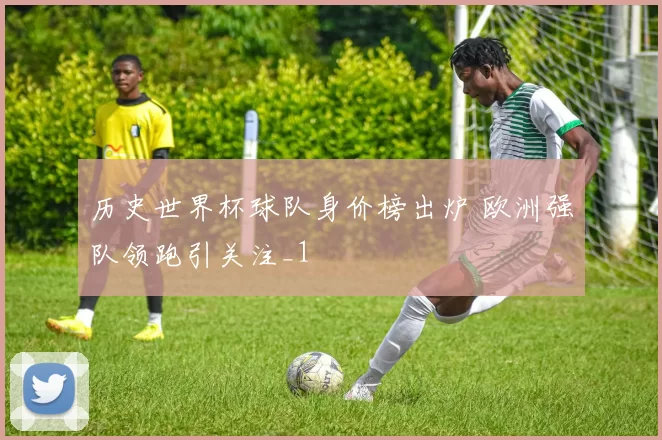 历史世界杯球队身价榜出炉 欧洲强队领跑引关注_1