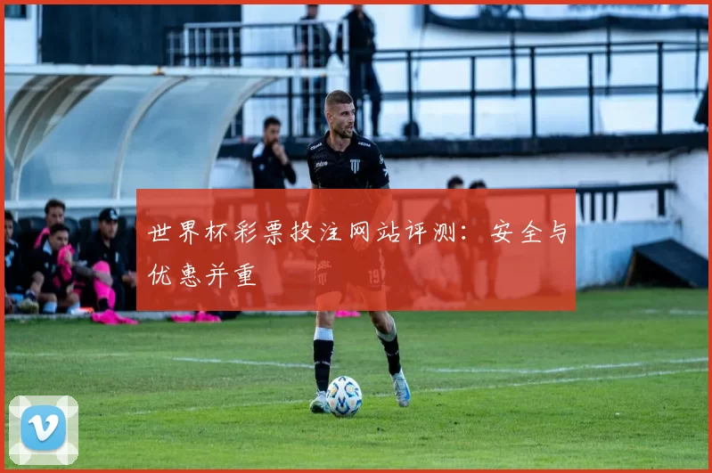 世界杯彩票投注网站评测:安全与优惠并重