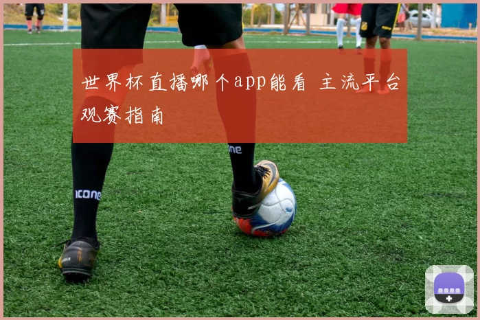 世界杯直播哪个app能看 主流平台观赛指南