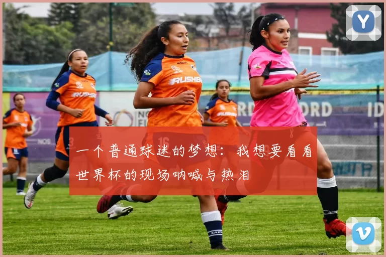 一个普通球迷的梦想:我想要看看世界杯的现场呐喊与热泪