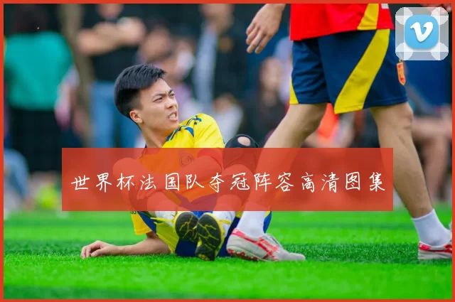 世界杯法国队夺冠阵容高清图集