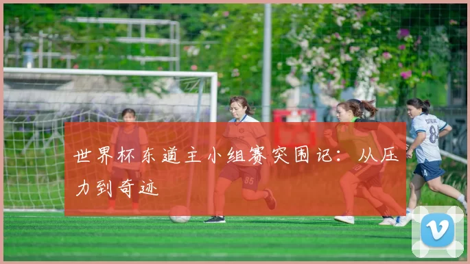 世界杯东道主小组赛突围记:从压力到奇迹