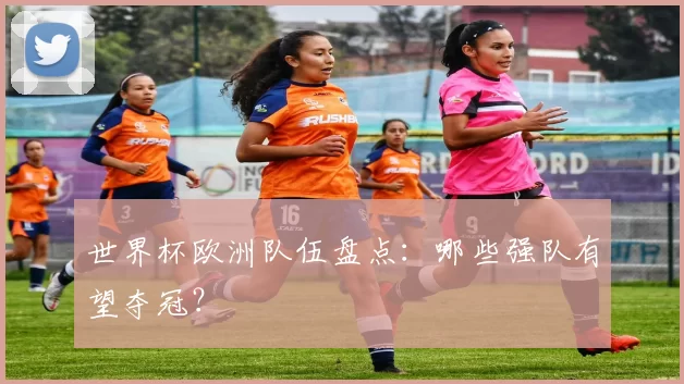 世界杯欧洲队伍盘点：哪些强队有望夺冠？