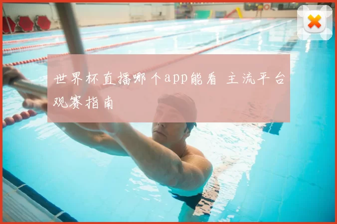 世界杯直播哪个app能看 主流平台观赛指南