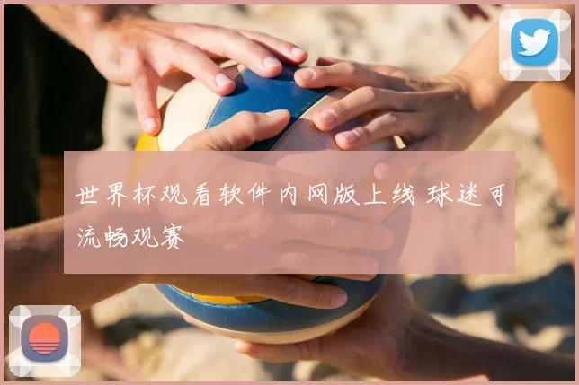 世界杯观看软件内网版上线 球迷可流畅观赛