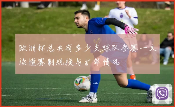 欧洲杯总共有多少支球队参赛一文读懂赛制规模与扩军情况