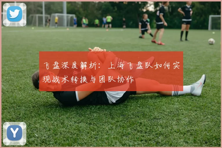 飞盘深度解析：上海飞盘队如何实现战术转换与团队协作