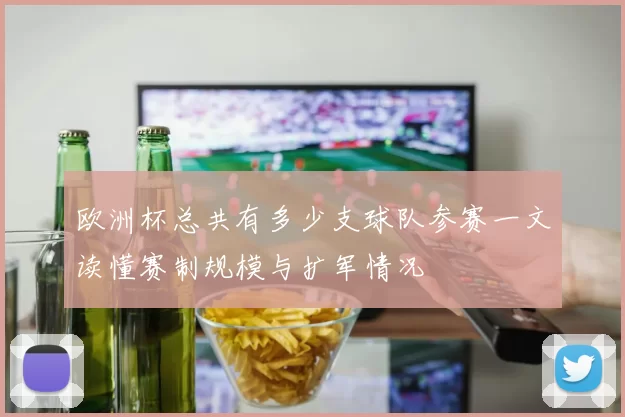 欧洲杯总共有多少支球队参赛一文读懂赛制规模与扩军情况