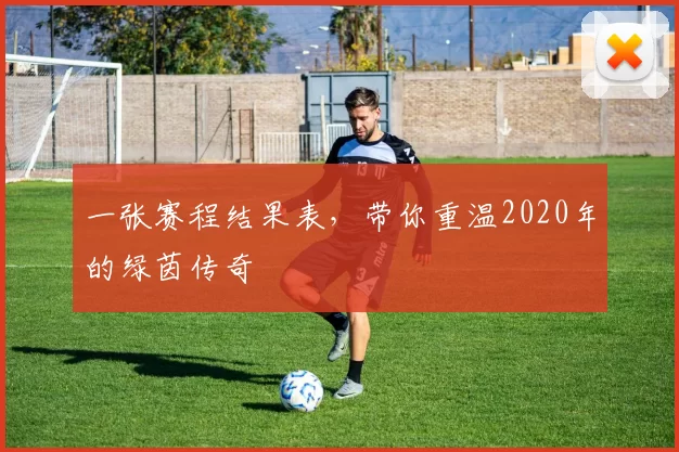 一张赛程结果表,带你重温2020年的绿茵传奇