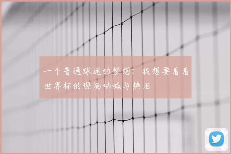 一个普通球迷的梦想：我想要看看世界杯的现场呐喊与热泪