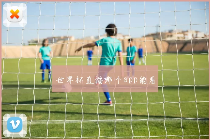世界杯直播哪个app能看
